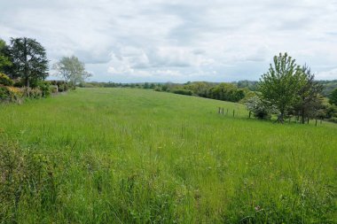 Kırsaldaki açık bir arazinin manzarası