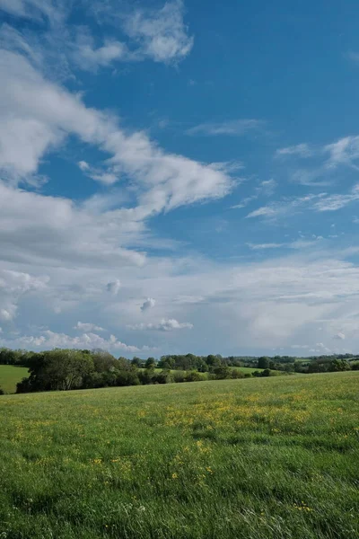 Piękny Krajobraz Polem Zielonej Trawy Błękitnego Nieba — Zdjęcie stockowe