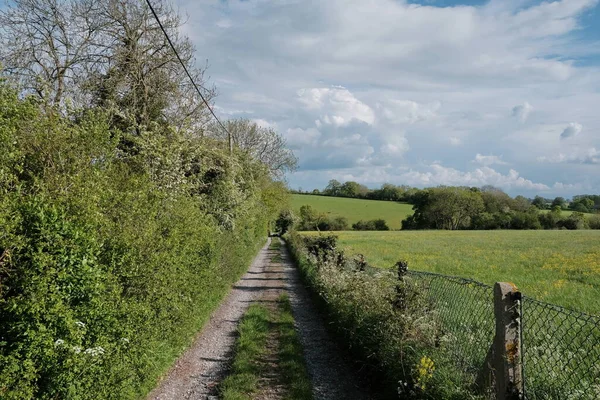 Scenic View Path Park — Stock Photo, Image