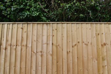 wooden fence with green trees 