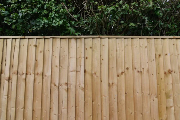 Wooden Fence Green Trees — 图库照片