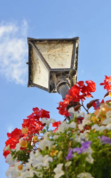 Beautiful Flowers Lamppost Blue Sky Background — Stock Fotó