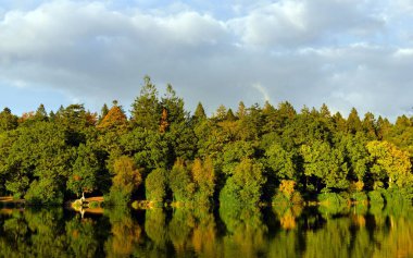 Scenic View of a Lakeside Forest with Autumn Colours