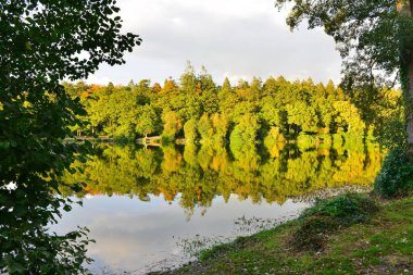 Scenic View of a Lakeside Forest with Autumn Colours