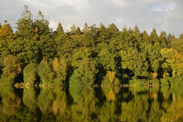 Scenic View Lakeside Forest Autumn Colours — Zdjęcie stockowe