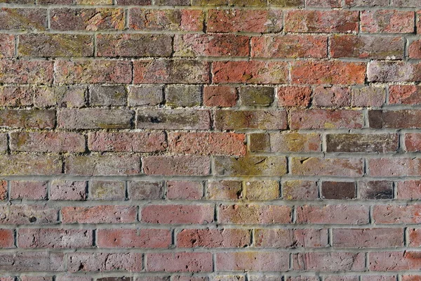 Close View Old Red Brick Wall Plenty Copy Space — Zdjęcie stockowe