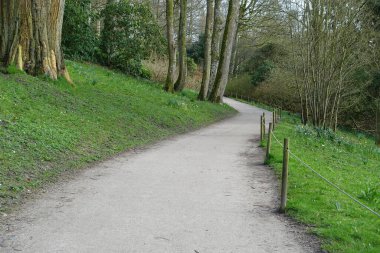 beautiful summer park view, path 