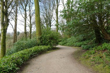 beautiful summer park view, path 