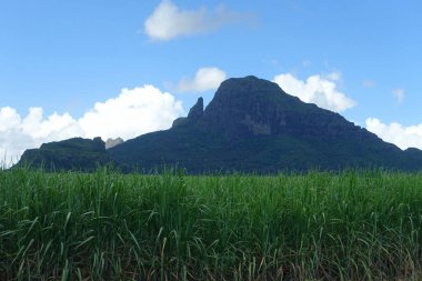 Dağlı güzel bir manzara.