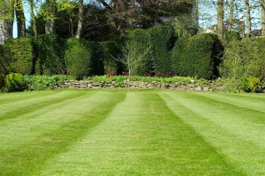 Bath, UK - May 9, 2018: View of park in the city 