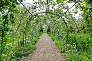 Parkın güzel manzarası