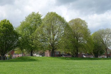 Parkın güzel manzarası 