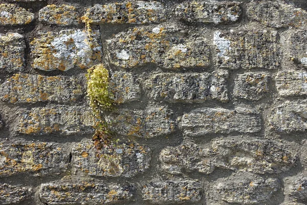 Παλιό Πέτρινο Τοίχο Υφή Φόντο — Φωτογραφία Αρχείου
