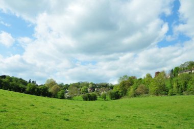 Geniş, yemyeşil çimenleri olan güzel bir bahçe manzarası.