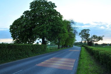 Gün batımında kırsal bir yolun manzarası
