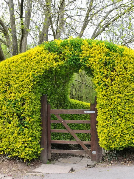 Exterior, gateway, and garden of a house on the street in an English town