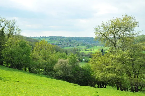 Malowniczy Widok Piękny Ogród Krajobrazowy Dużym Otwartym Trawnikiem Zielona Trawa — Zdjęcie stockowe