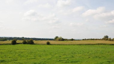 Ağaçları ve mavi gökyüzü olan yeşil tarla