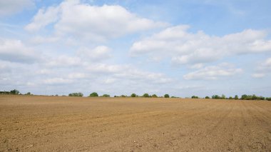 mavi gökyüzü ile tarımsal alan