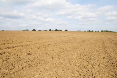 Topraklanmış tarla ve mavi gökyüzü