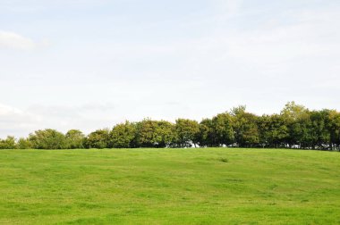 yeşil çayır ve mavi gökyüzü