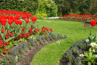Bahçedeki güzel çiçekler