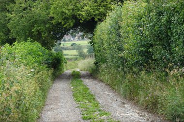 Parkın güzel manzarası