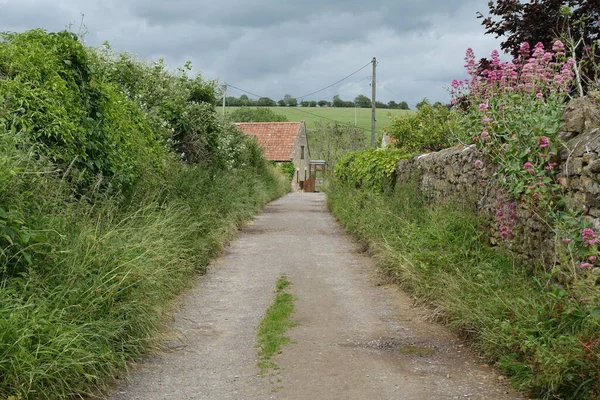 Beautiful View Countryside Road — Stock Photo, Image