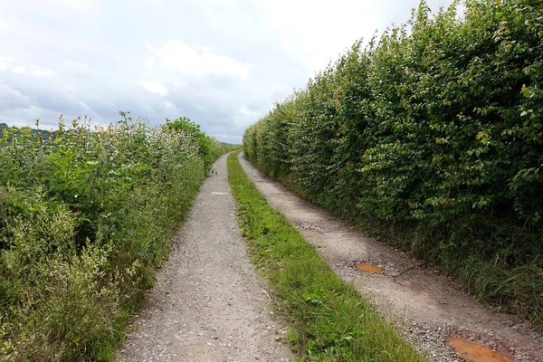 Road Rural Landscape — Stock Photo, Image