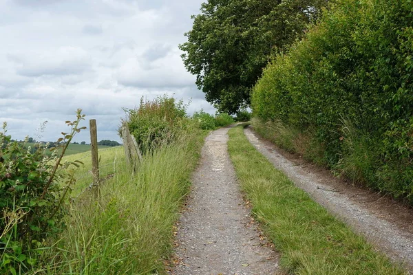 Road Rural Landscape — Stock Photo, Image