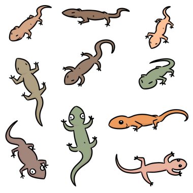 vektör set kertenkele