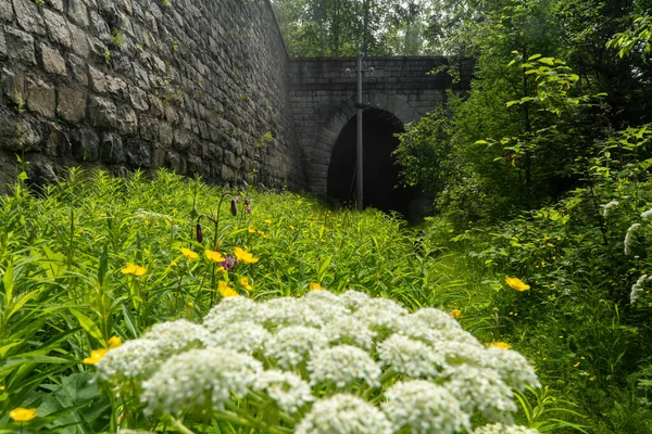 Circum Baykal Demiryolu Üzerinde Terkedilmiş Tünel — Stok fotoğraf