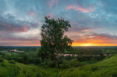 Nehre bakan yaz günbatımı