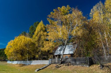 Sonbahar ormanındaki çiftlik evi.
