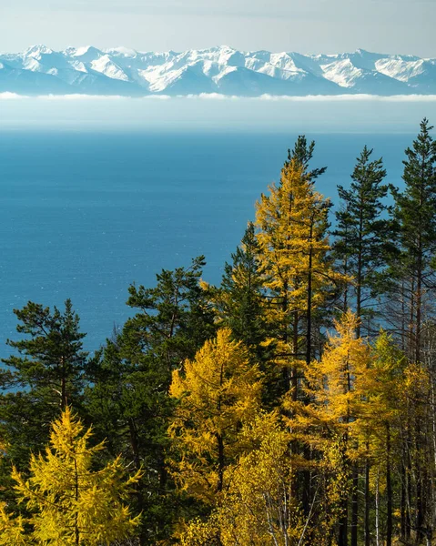 Podzimní Krajina Výhledem Jezero Bajkal Hřeben Chamar Daban — Stock fotografie