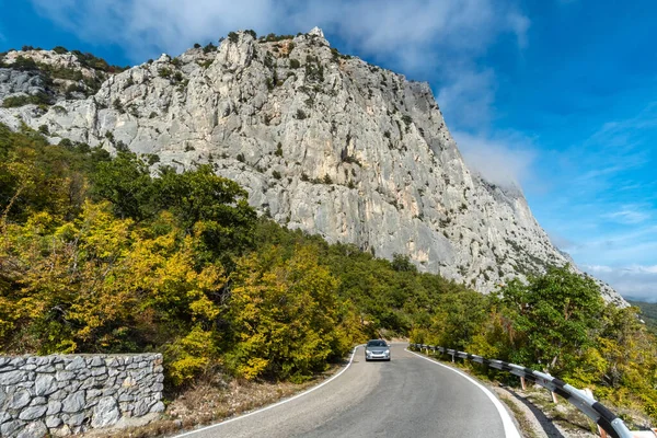 Kırım 'ın güney kıyısında yüksek bir uçurumun altındaki dağ yılanı.