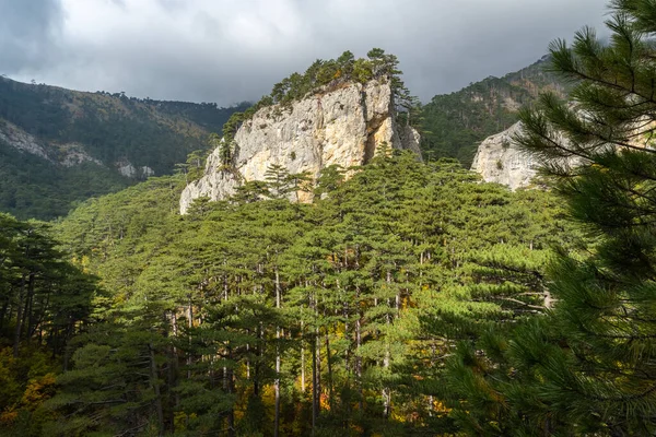 Una Roca Medio Bosque Pinos Desfiladero Uch Kosh Yalta Crimea Fotos de stock libres de derechos