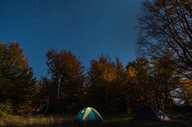 Gece ormanında aydınlatılmış bir çadır.
