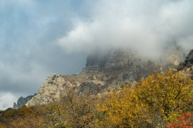 Hayaletler Vadisi 'nde Altın Sonbahar