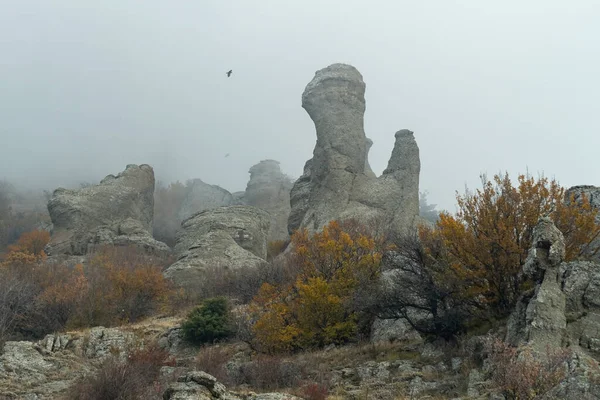 Pták Letí Přes Skály Údolí Duchů — Stock fotografie