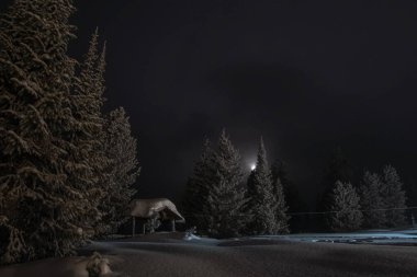 Gece gökyüzünün altındaki kış ormanında çardak.