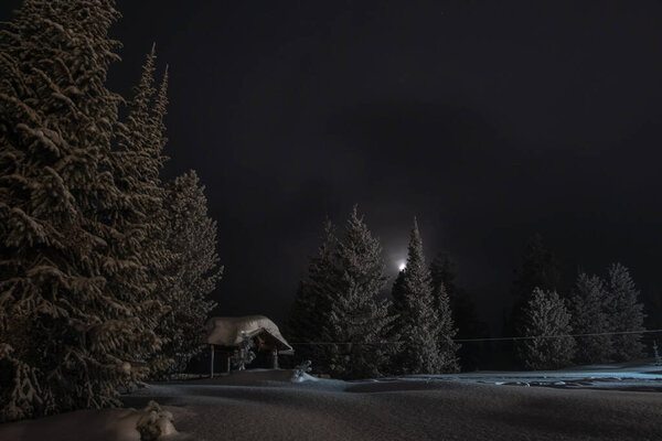 Gazebo in the winter forest under the night sky