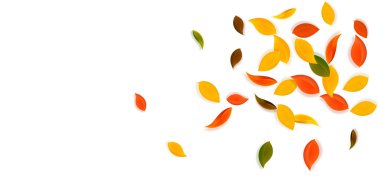 Sonbahar yaprakları dökülüyor. Kırmızı, sarı, yeşil, kahverengi, temiz yapraklar uçuşuyor. Şık günbatımı arka planında patlayan renkli yapraklar. Okul satışına geri dönmek büyüleyici..