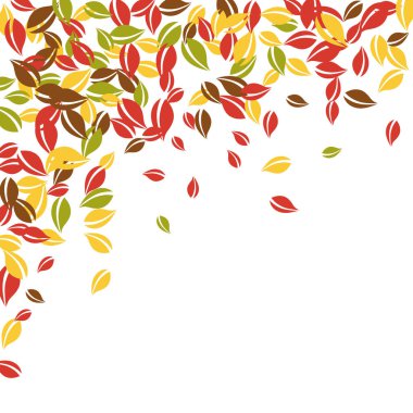 Sonbahar yaprakları dökülüyor. Kırmızı, sarı, yeşil, kaotik yapraklar uçuşuyor. Değerli beyaz arka planda yağan renkli yapraklar. Okul satışına geri dönüş..