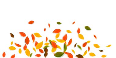 Sonbahar yaprakları dökülüyor. Kırmızı, sarı, yeşil, kaotik yapraklar uçuşuyor. Cesur günbatımı arka planında patlama renginde yapraklar. Güzel, okul satışına geri döndü..