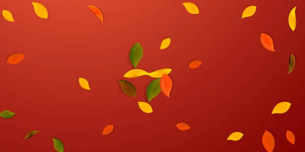 Falling Autumn Leaves Red Yellow Green Brown Neat Leaves Flying — Stock Vector