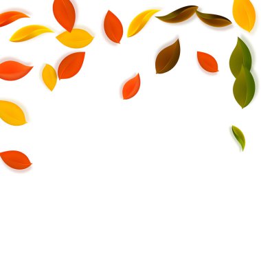 Sonbahar yaprakları dökülüyor. Kırmızı, sarı, yeşil, kahverengi, temiz yapraklar uçuşuyor. Büyük beyaz arka planda yağan renkli yapraklar. Otantik okul satışına dönüş.