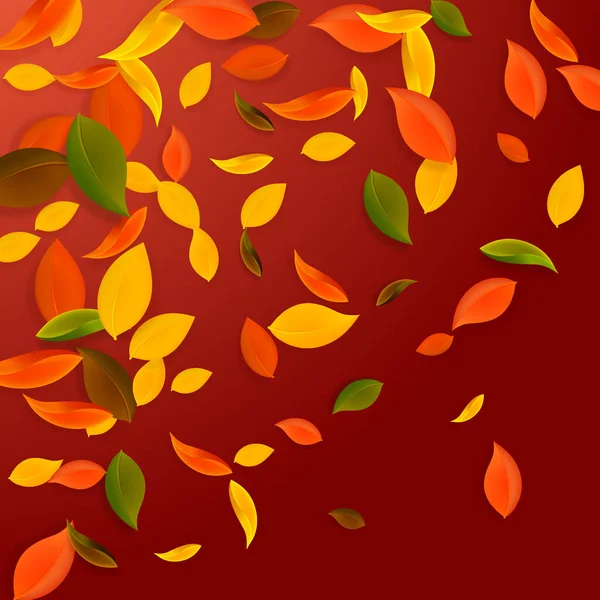 秋の紅葉 茶色の混沌とした葉が飛んでいます 大胆な赤の背景にグラデーションのカラフルな葉 学校の販売に戻る素晴らしい — ストックベクタ