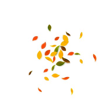 Sonbahar yaprakları dökülüyor. Kırmızı, sarı, yeşil, kaotik yapraklar uçuşuyor. Parlak beyaz arka planda rengarenk bir yaprak patlaması. Otantik okul satışına dönüş.