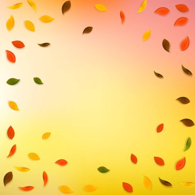 Sonbahar yaprakları dökülüyor. Kırmızı, sarı, yeşil, kahverengi yapraklar uçuşuyor. Ekstra günbatımı arka planında renkli bir yaprak. Okul satışına geri dönmek harika..